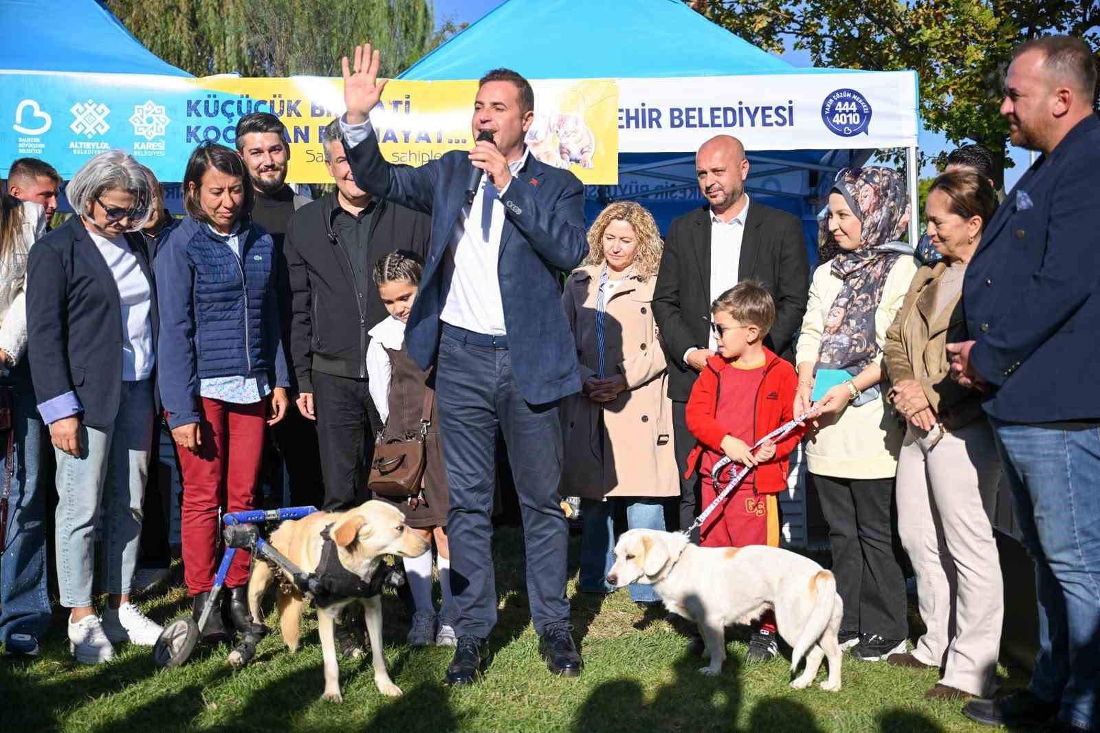 Balıkesir can dostlara sahip çıkıyor