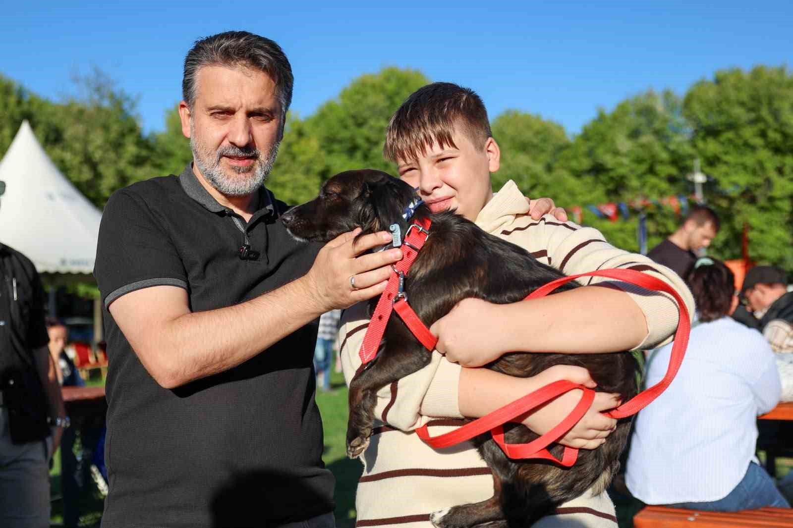 Büyükşehir’den can dostları için yuva seferberliği