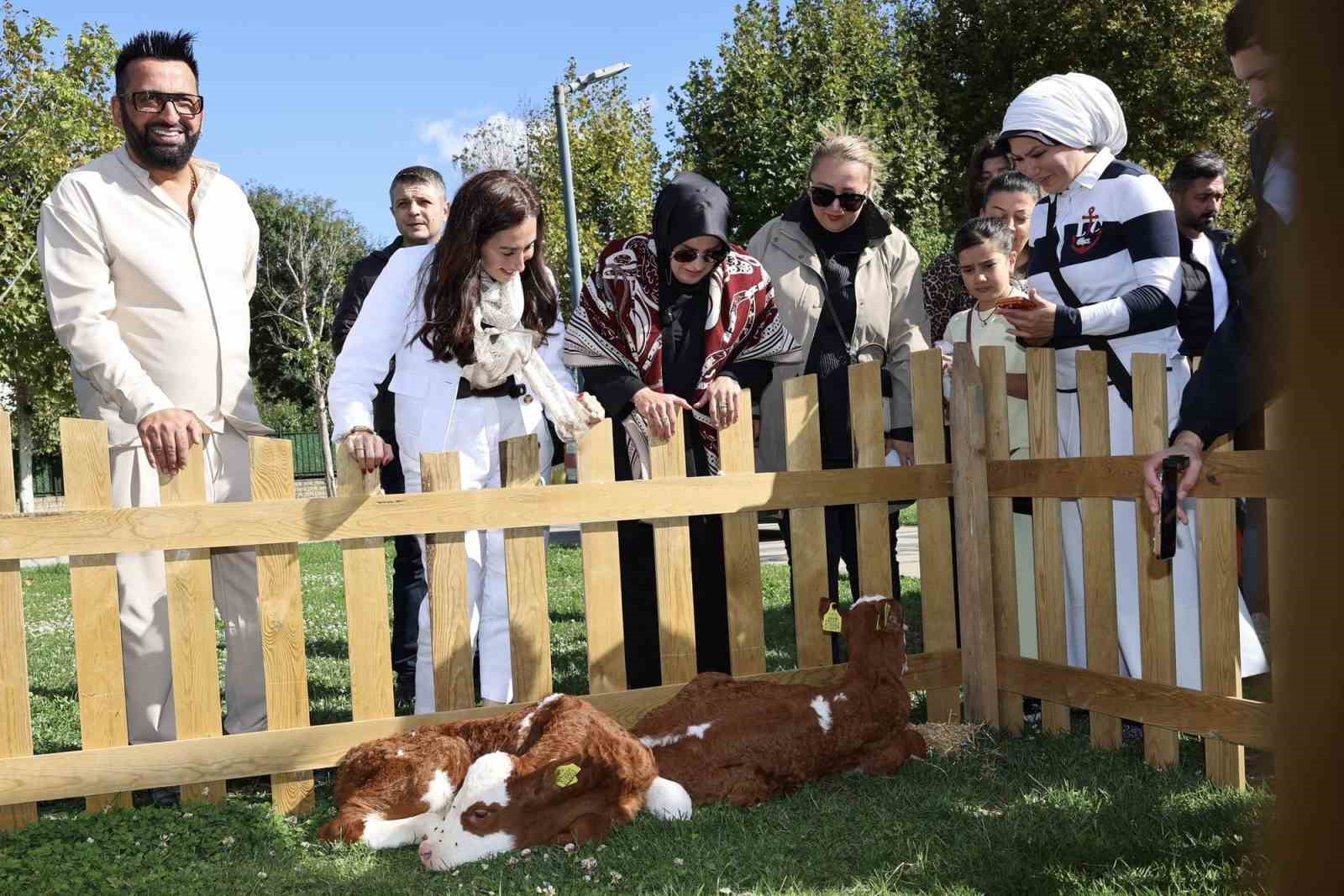 Beykoz Yaşam Festivali renkli görüntülere sahne oldu