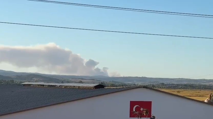 Yunanistan’daki yangında oluşan yoğun duman Meriç’ten de görülüyor