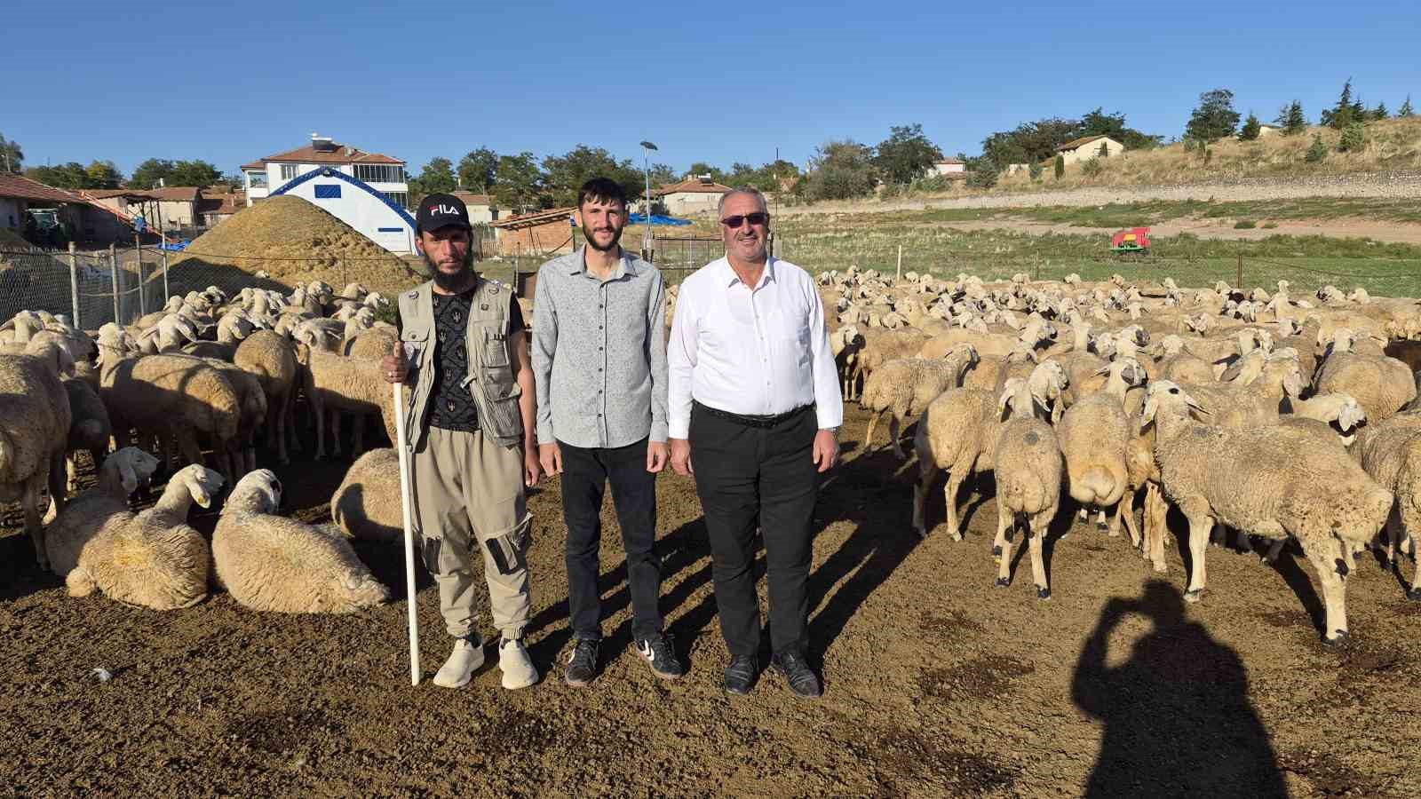 Çobanlık yapıyordu, şimdi kendi sürüsünün başına Afgan çoban getirdi