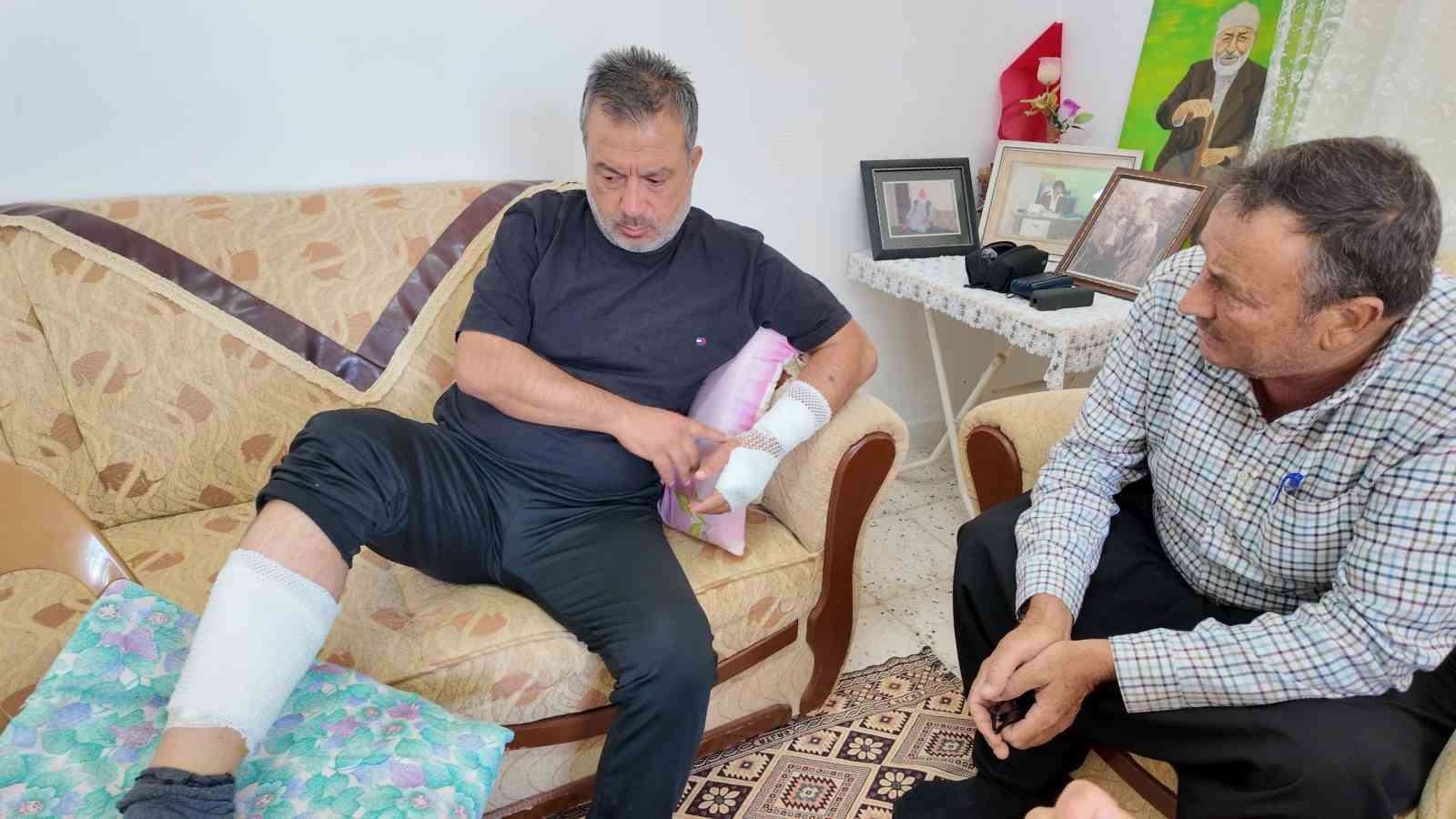 Sahipli köpeğin saldırdığı adam feci şekilde yaralandı