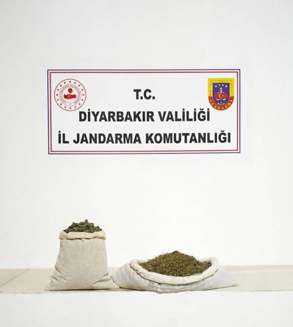 Diyarbakır’da 97 bin 743 kök kenevir, 44 kilo esrar ele geçirildi