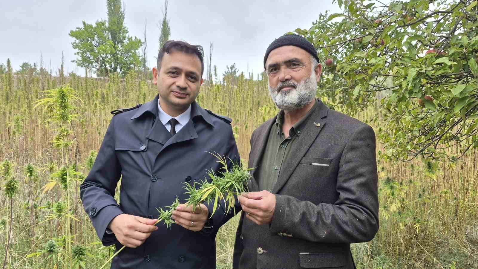 Yozgat’ta ezber bozan hasat: İlaçsız arıcılığın şifresi kenevirde bulundu