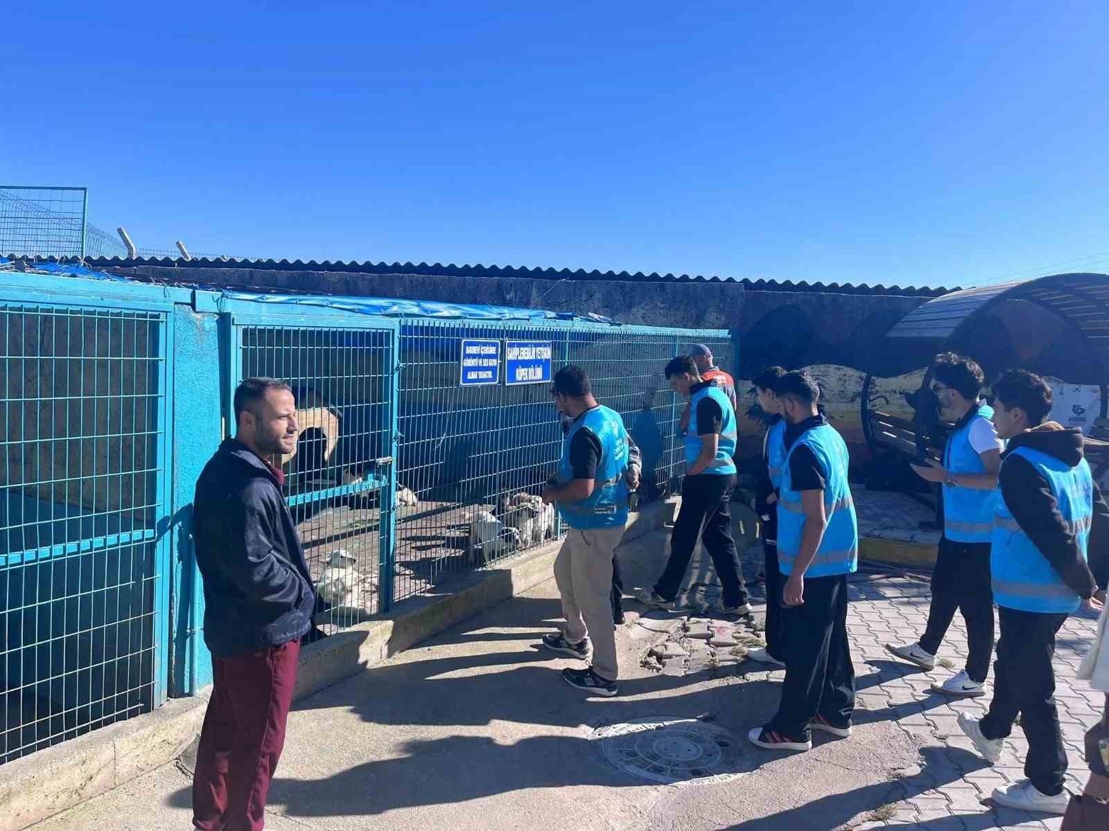 Kuşcenneti KYK öğrencilerinden sokak hayvanlarına destek