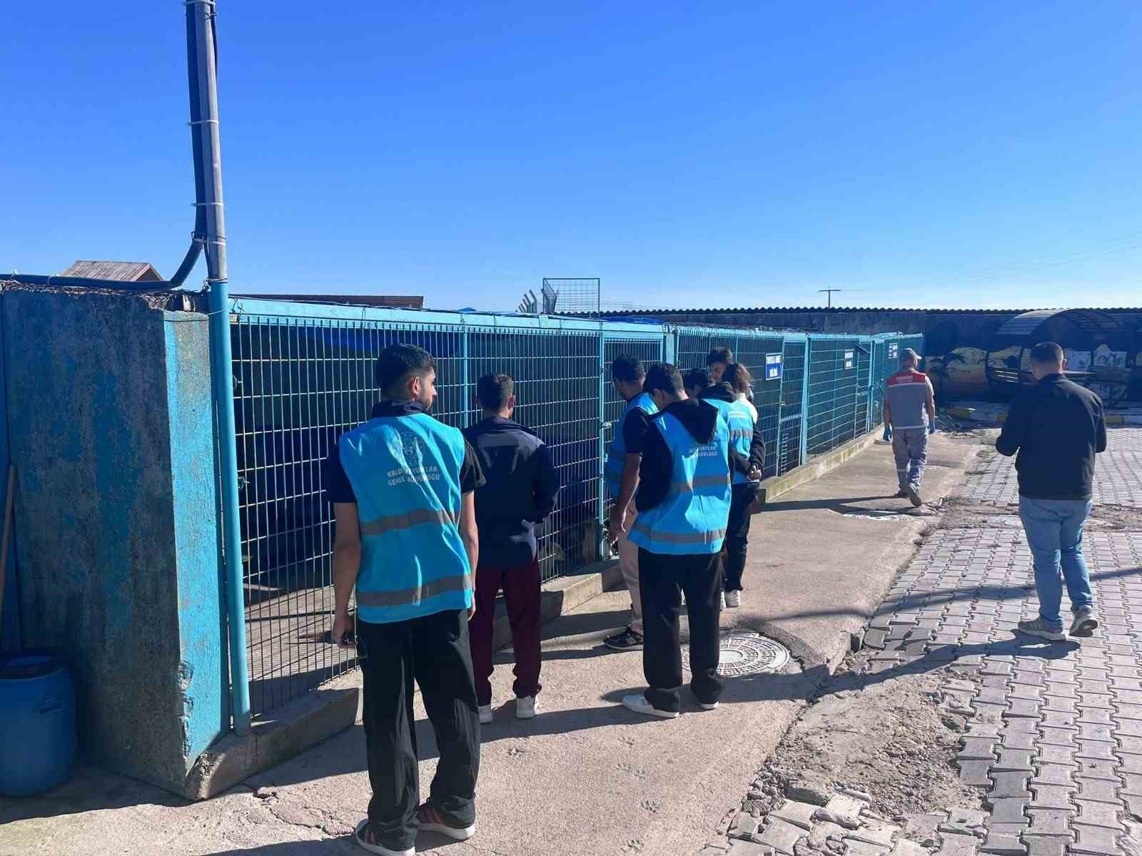 Kuşcenneti KYK öğrencilerinden sokak hayvanlarına destek