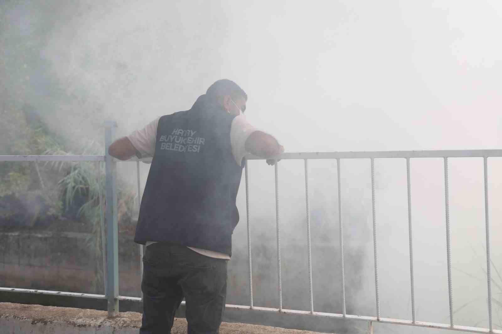 Hatay’da haşere ve vektör mücadelesi sürüyor