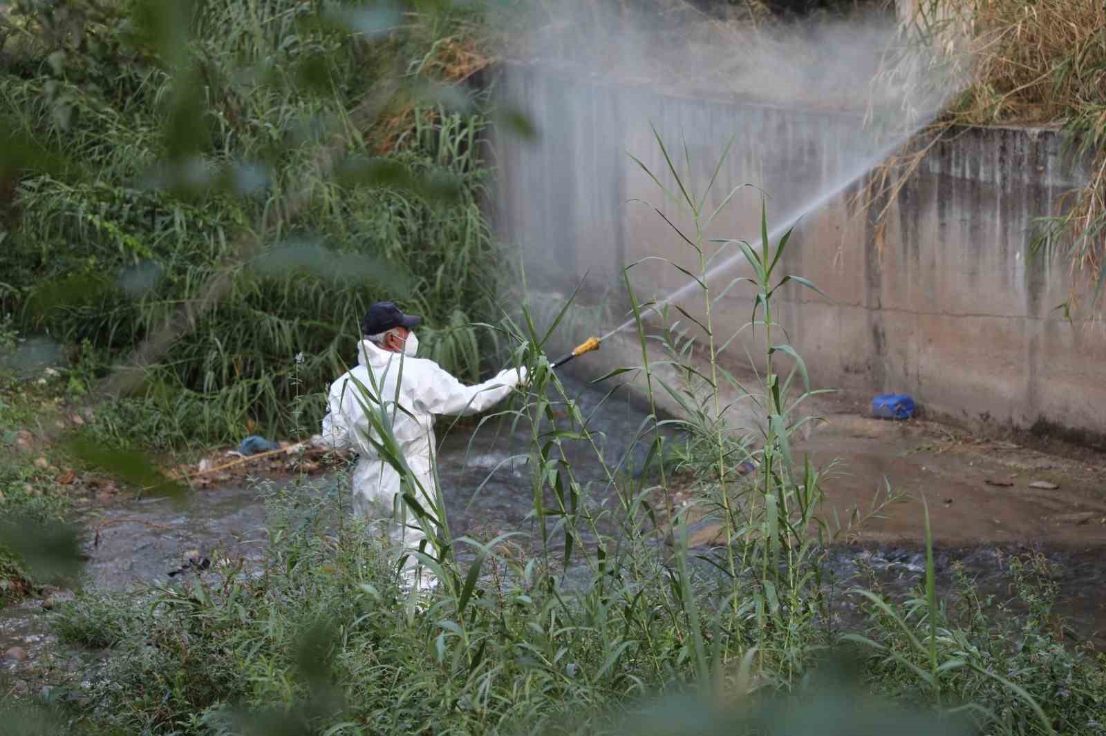 Hatay’da haşere ve vektör mücadelesi sürüyor