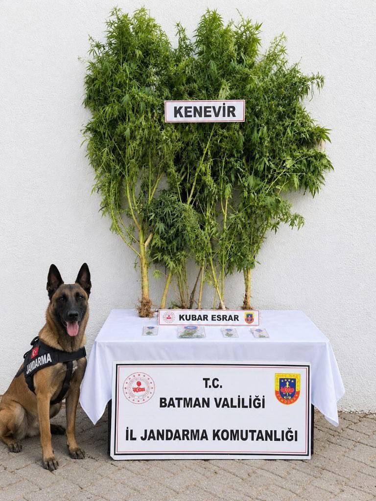 Batman’da kaçakçılık operasyonları: 27 şüpheli hakkında adli işlem yapıldı