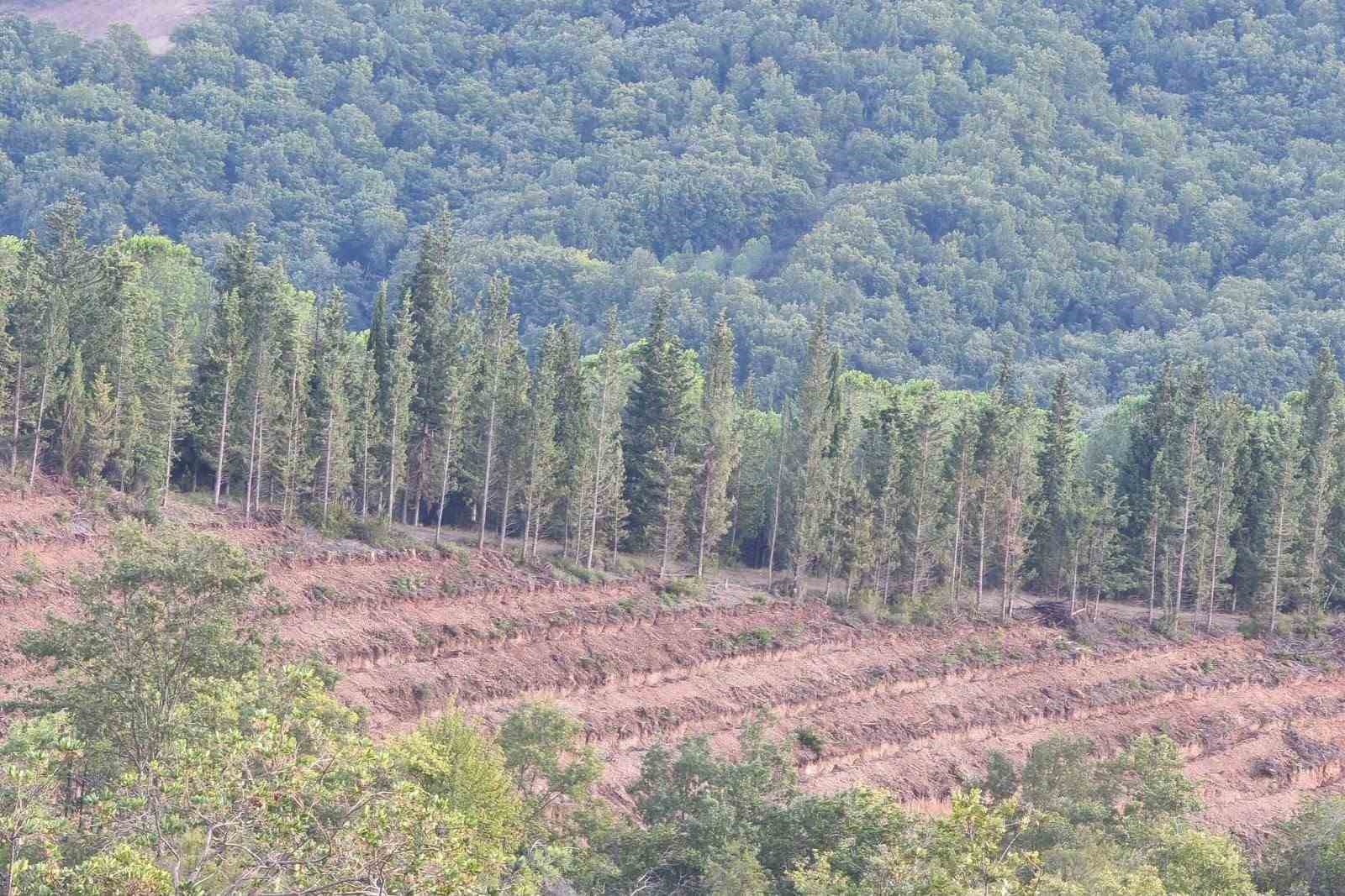 Gönen’e 250 hektarlık endüstriyel plantasyon sahası kuruluyor