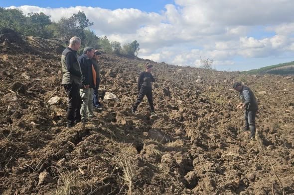 Gönen’e 250 hektarlık endüstriyel plantasyon sahası kuruluyor