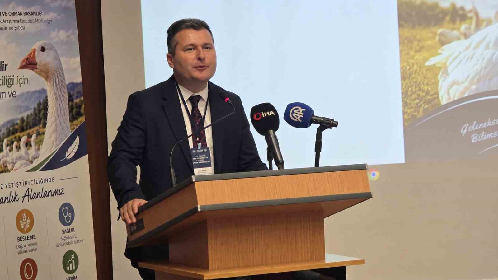 Türkiye kaz yetiştiriciliğinde dünyada 7’nci sırada