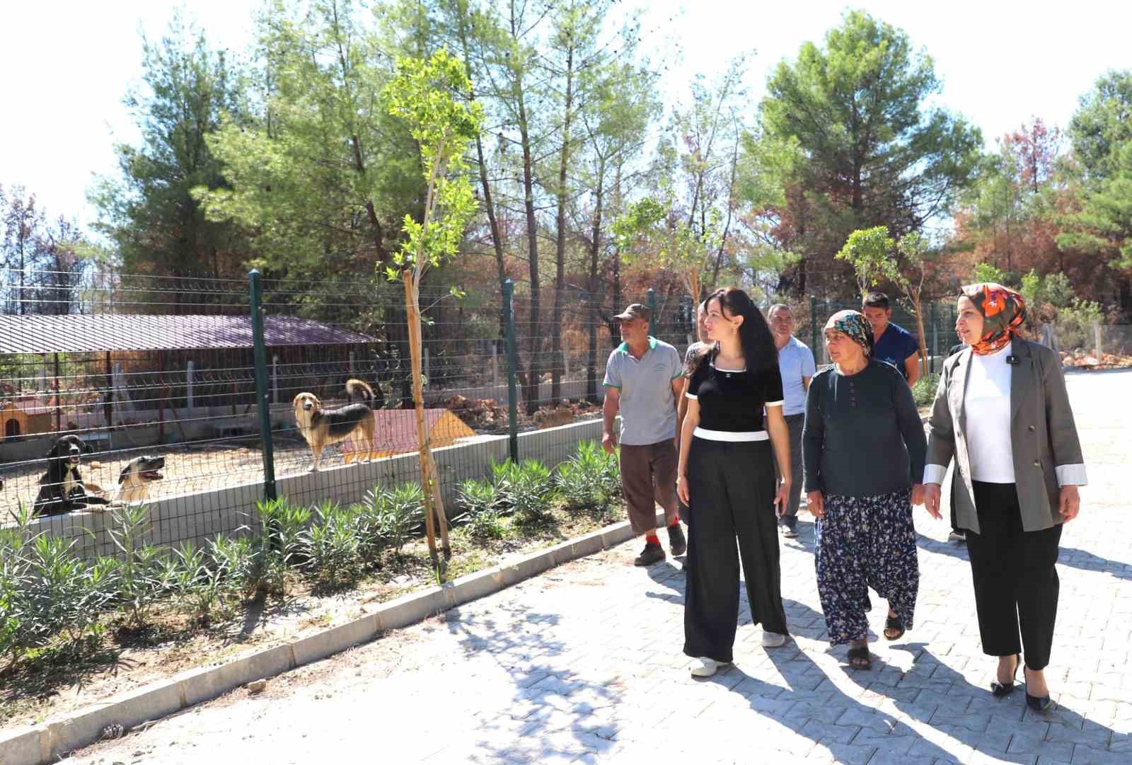 ’Kopi’ yangının ardından yeni yuvasına kavuştu