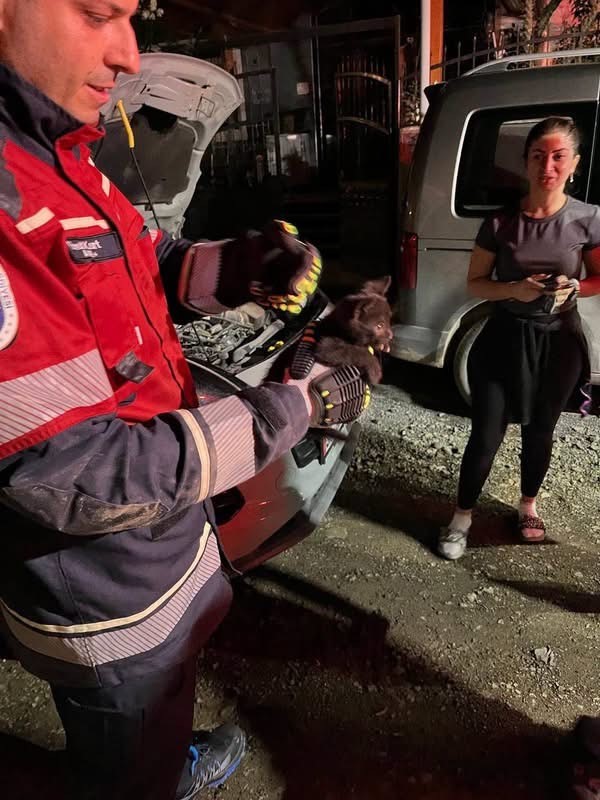 Arsuz’da aracın motoruna sıkışan kedi kurtarıldı