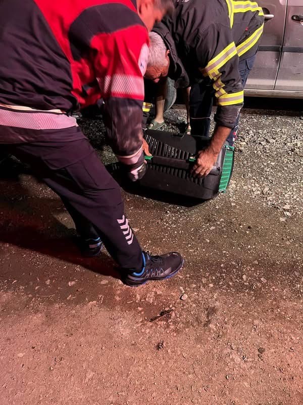 Arsuz’da aracın motoruna sıkışan kedi kurtarıldı