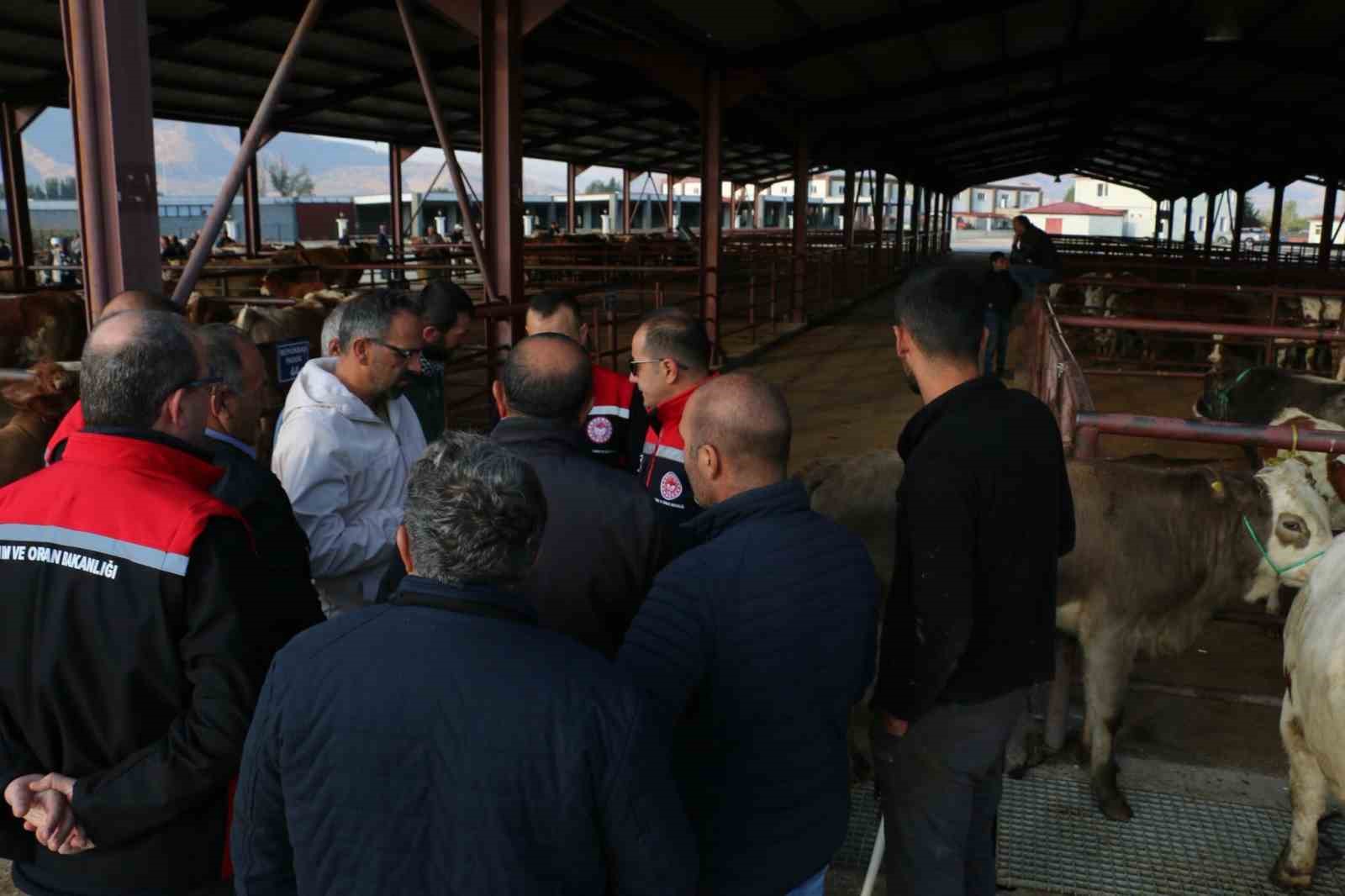 Erzincan’da hayvan yetiştiricilerine şap hastalığına karşı aşılama uyarısı