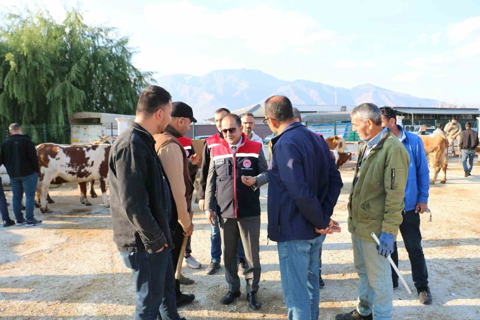 Erzincan’da hayvan yetiştiricilerine şap hastalığına karşı aşılama uyarısı