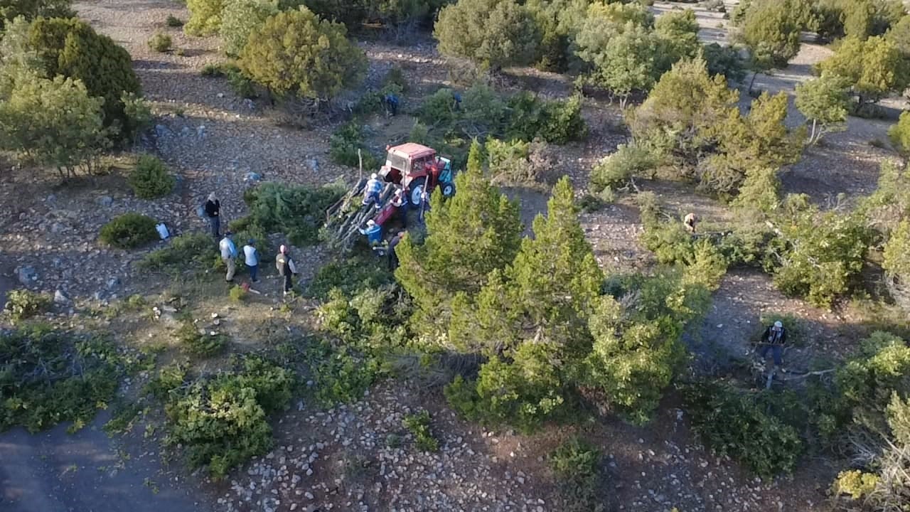 Yozgat’ta imece usulü kışlık odun mesaisi sürüyor