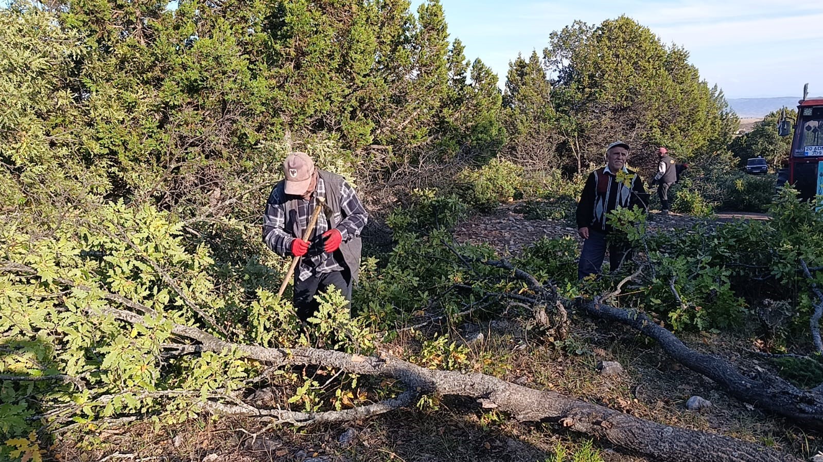 Yozgat’ta imece usulü kışlık odun mesaisi sürüyor