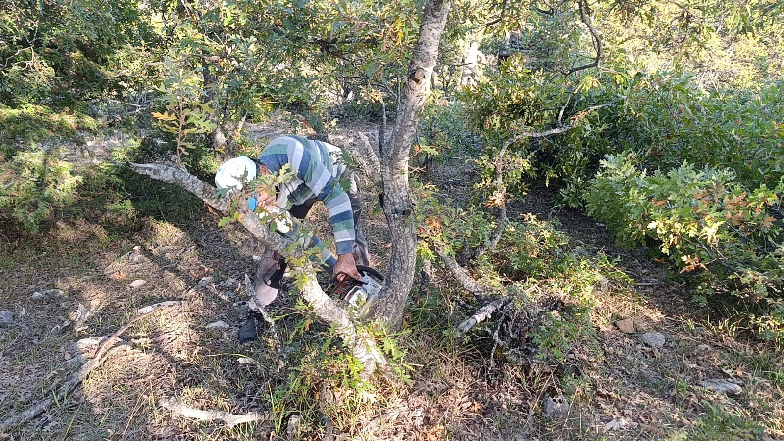 Yozgat’ta imece usulü kışlık odun mesaisi sürüyor