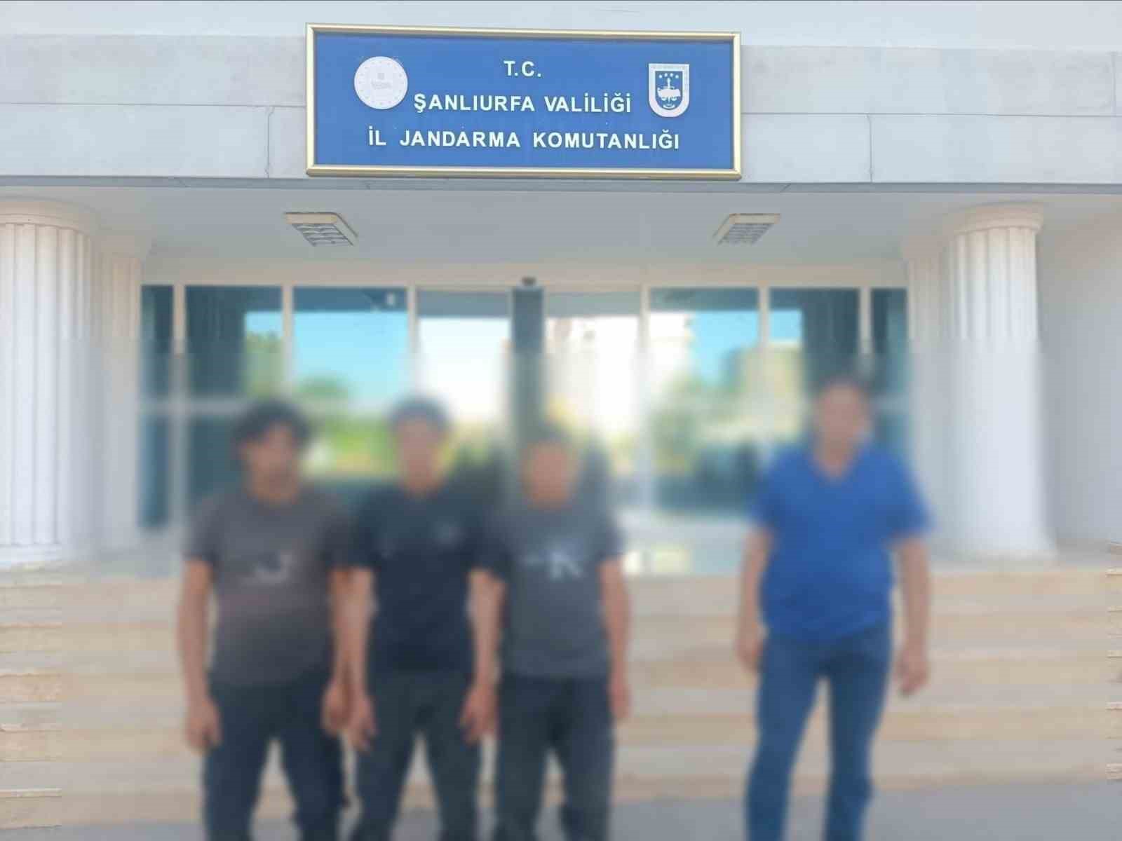 Şanlıurfa’da 9 göçmen kaçakçısı yakalandı