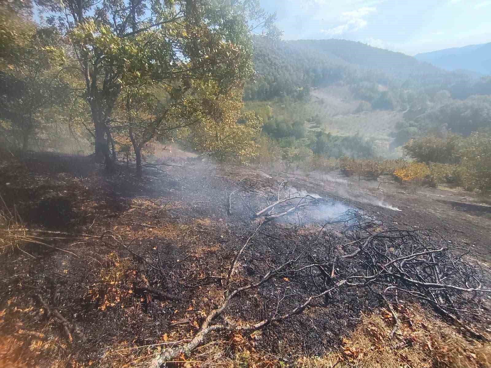 Bolu’da ot yangını büyümeden söndürüldü