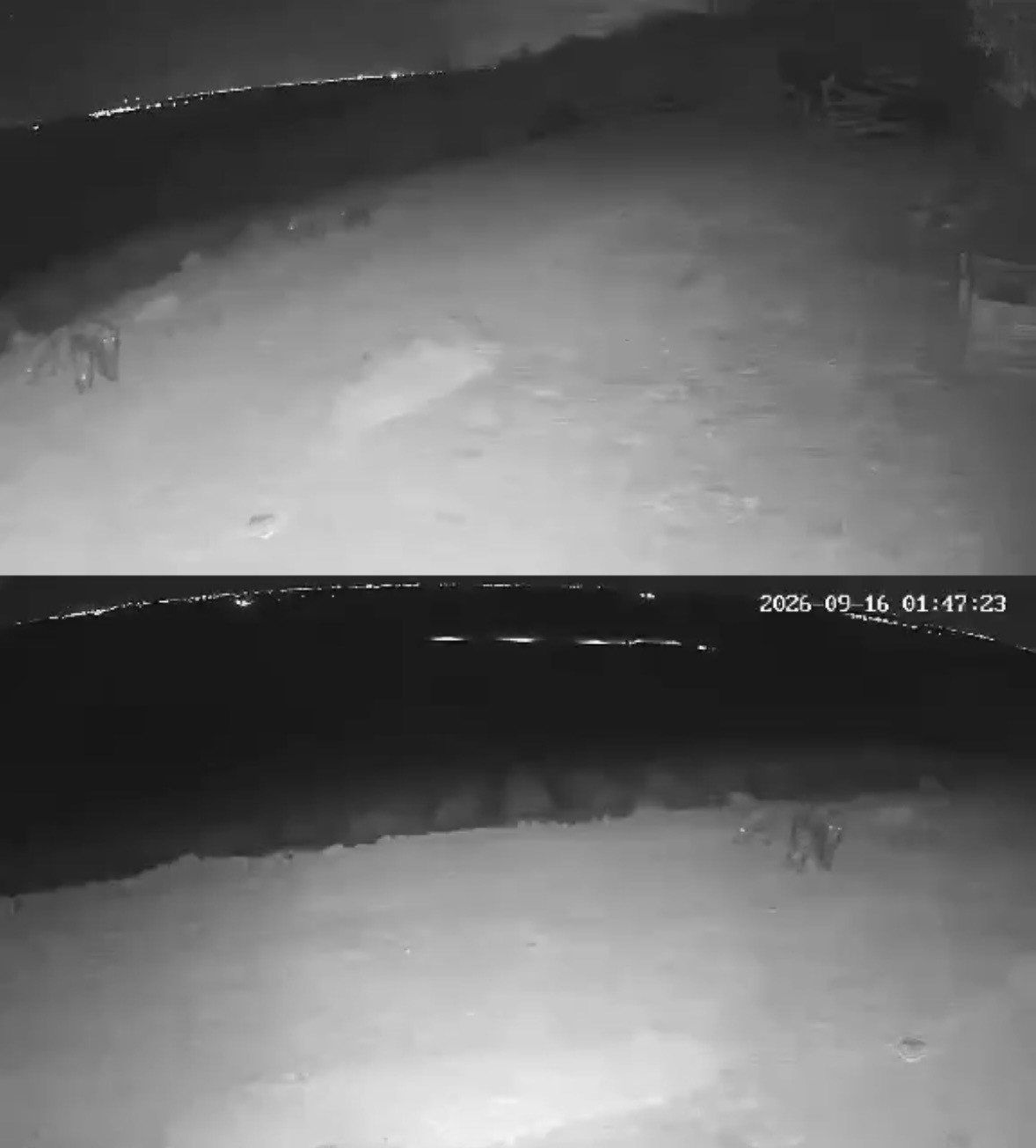 Muratlı’da fotokapan yaban hayatını kaydetti: Gelincik, çakal ve domuz sürüsü görüntülendi
