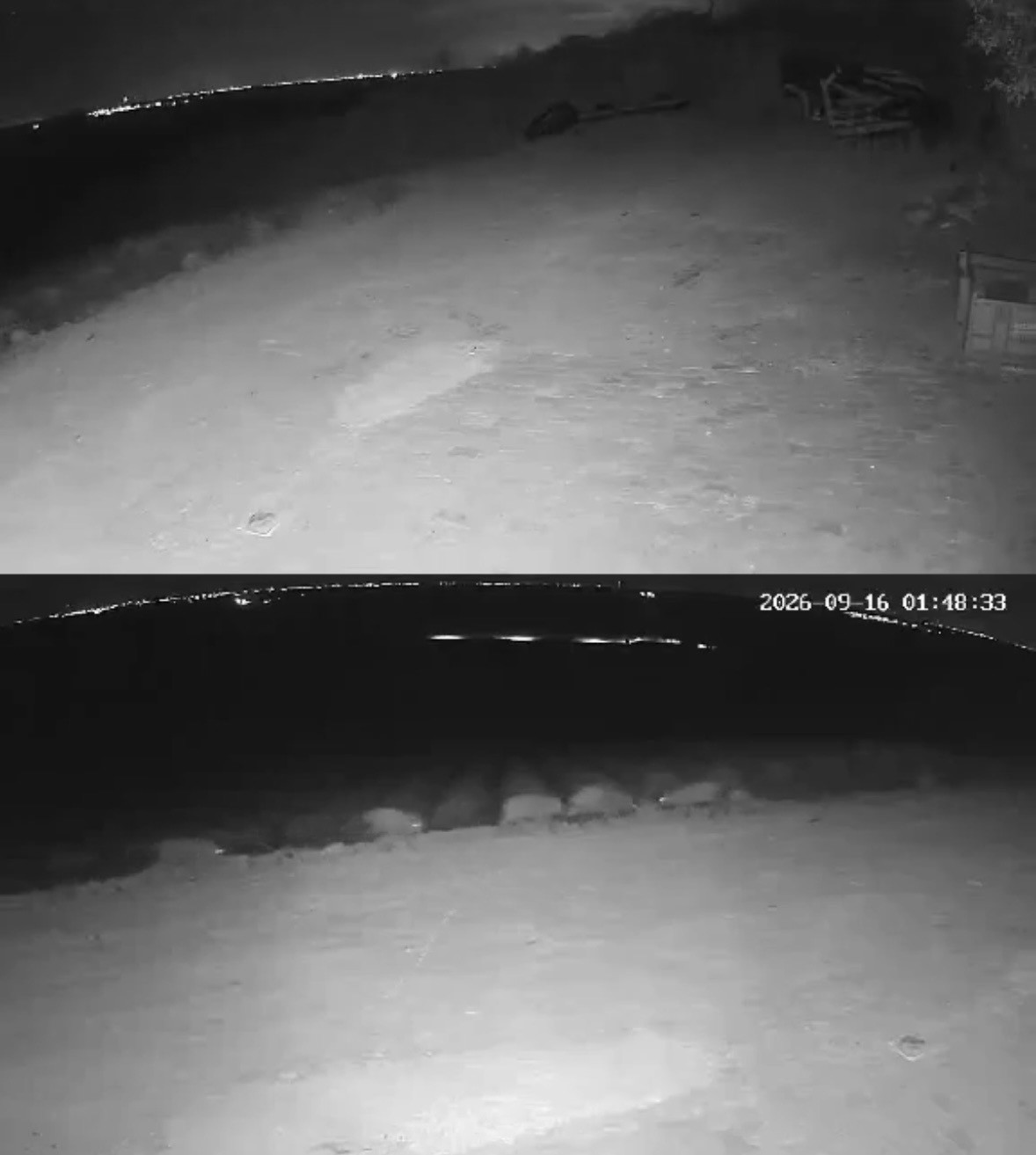 Muratlı’da fotokapan yaban hayatını kaydetti: Gelincik, çakal ve domuz sürüsü görüntülendi
