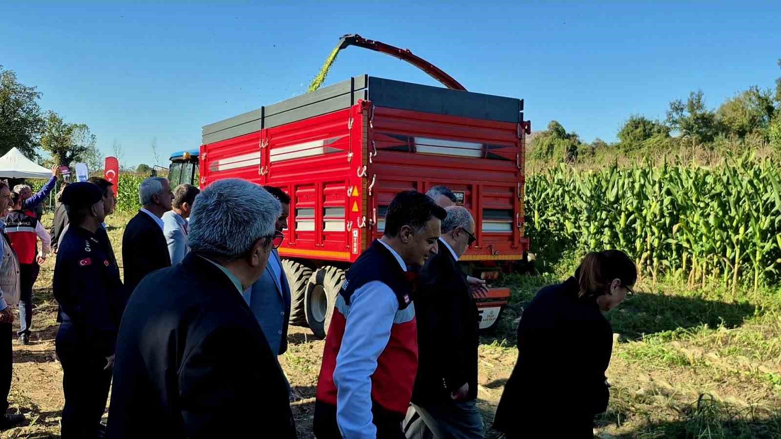 Silajlık mısır hasadı üreticinin yüzünü güldürdü