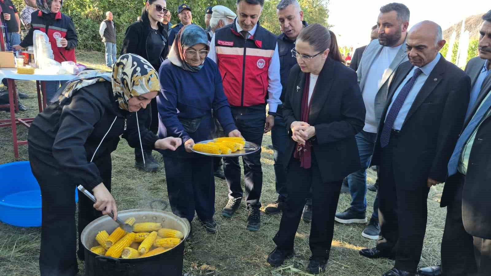 Silajlık mısır hasadı üreticinin yüzünü güldürdü