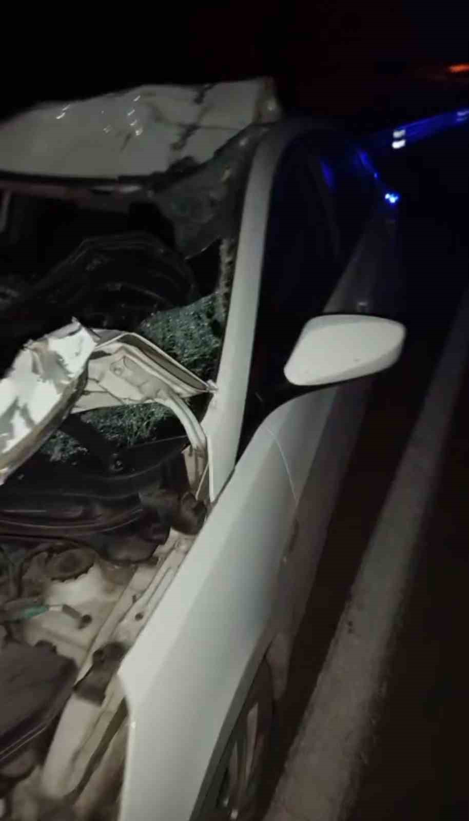 Bingöl’de otomobil ineğe çarptı: 4 yaralı