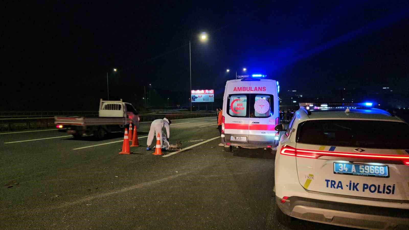 Kuzey Marmara’da alkollü sürücü kazaya sebep oldu: 1 ölü