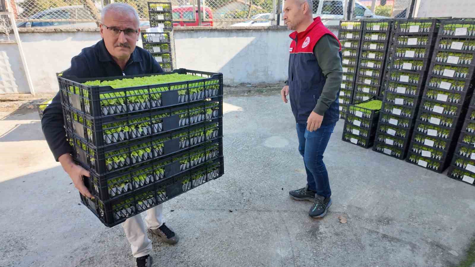 Düzce’de çiftçilere 2,6 milyon TL’lik fide ve tohum desteği