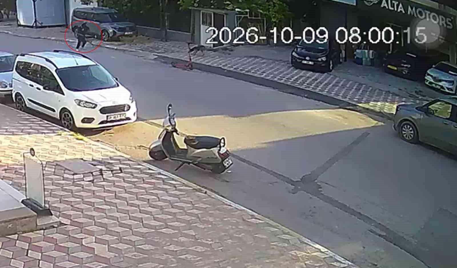 Okul yolunda sokak köpeklerinin saldırısına uğrayan kız çocuğu yaralandı