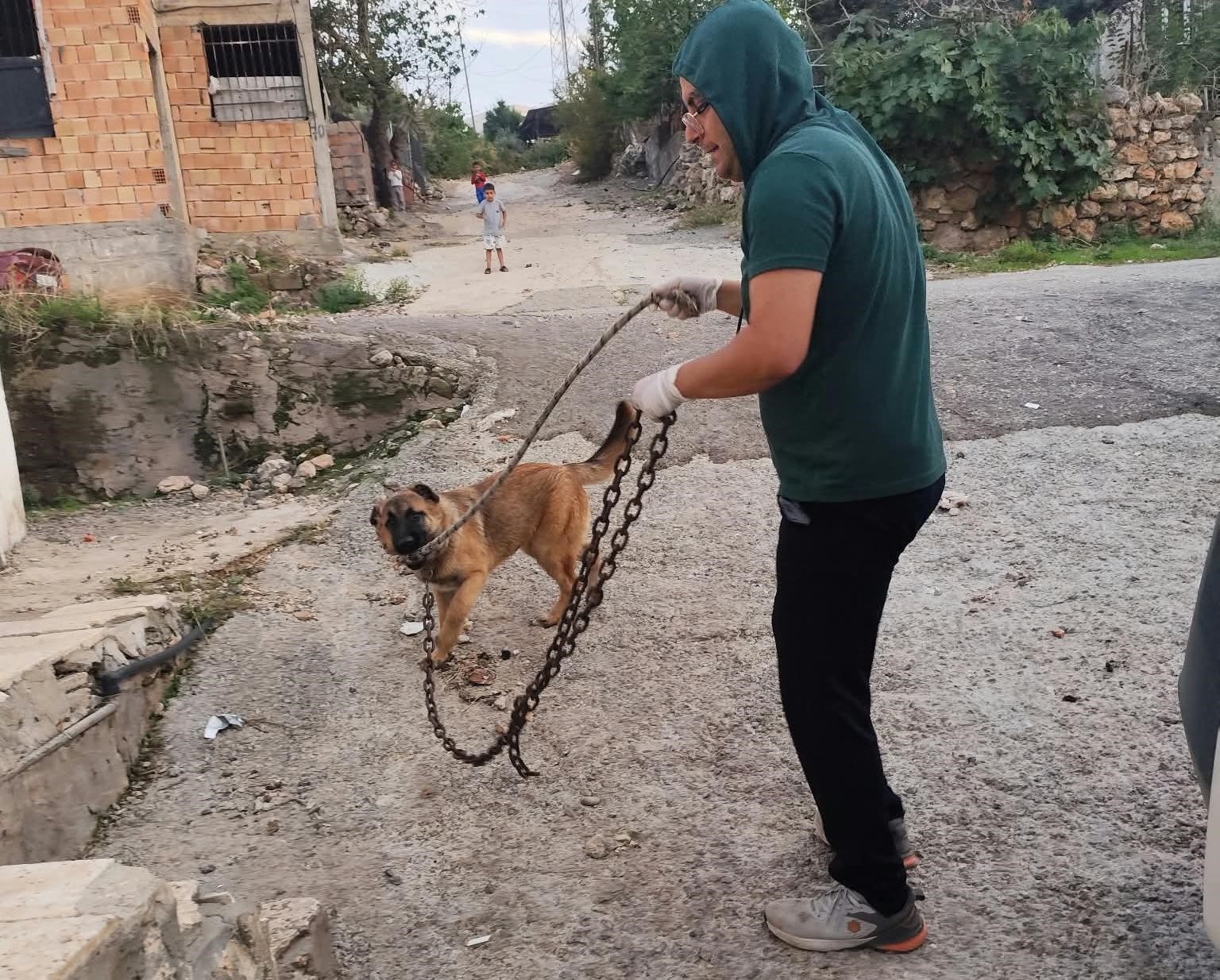 Okul yolunda sokak köpeklerinin saldırısına uğrayan kız çocuğu yaralandı