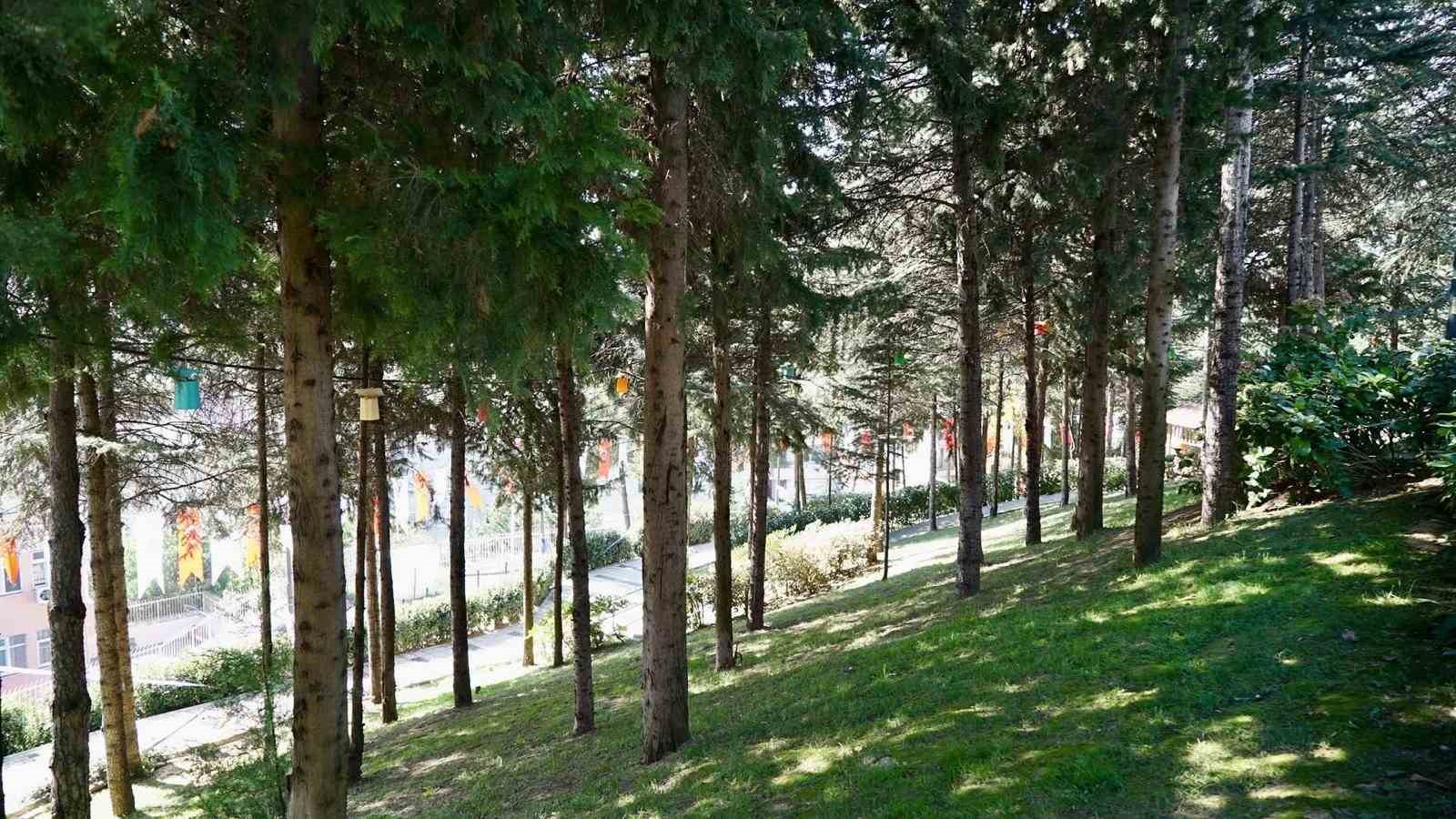 İstanbul’un kalbinde yeni bir nefes: Gültepe Mesire Alanı açıldı
