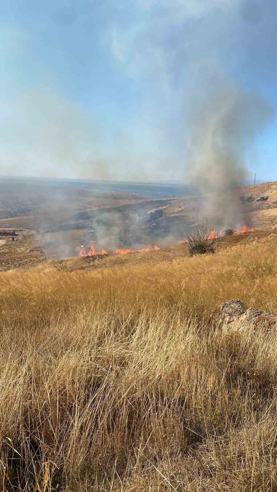 Çanakkale’de otluk alanda yangın
