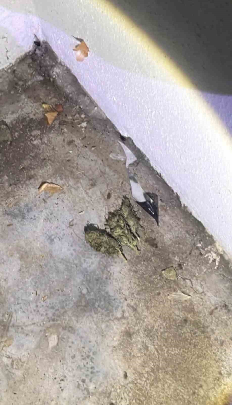 Bingöl’de uyuşturucu operasyonunda 1 kişi tutuklandı
