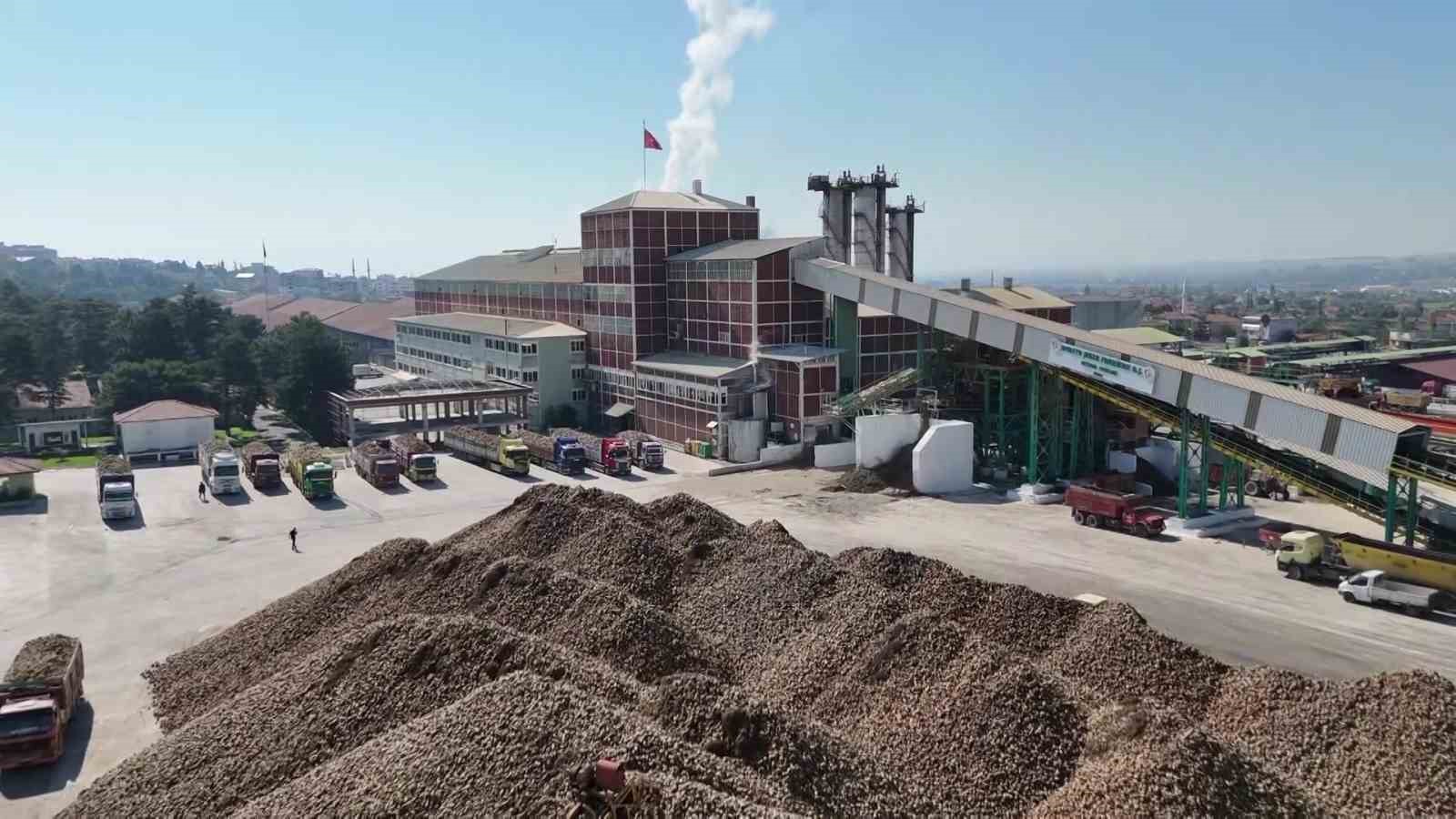 Amasya’da şeker pancarı hasadı başladı, 350 bin ton rekolte bekleniyor