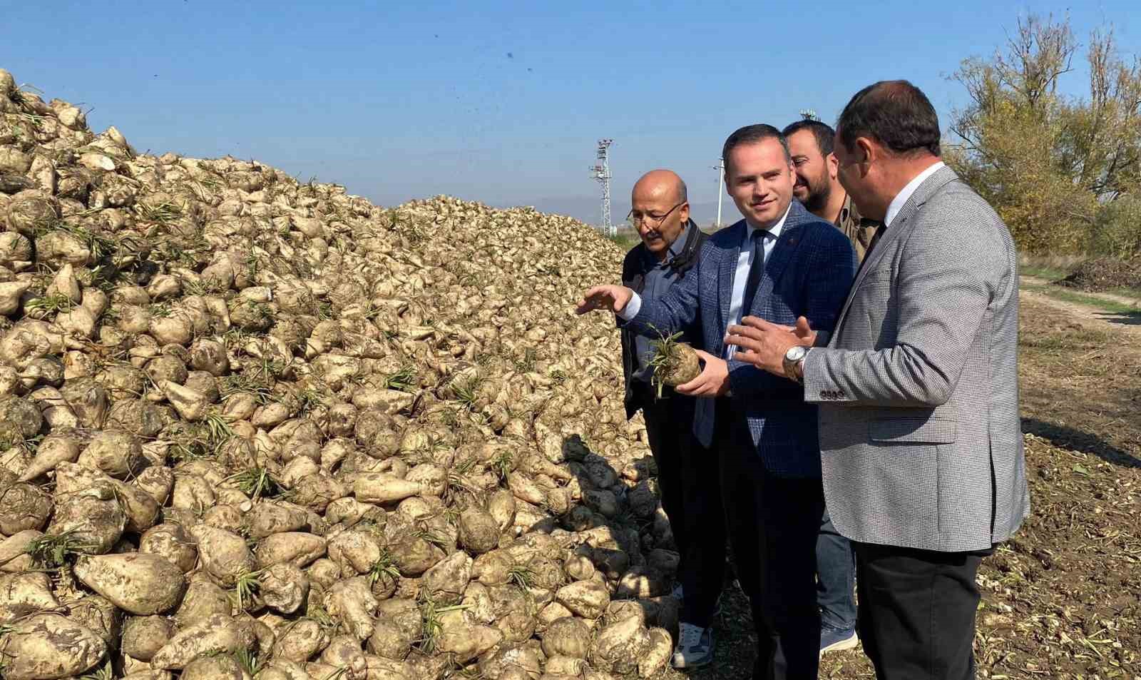 Alpu Kaymakamı Sönmezel şeker pancarı hasadına katıldı