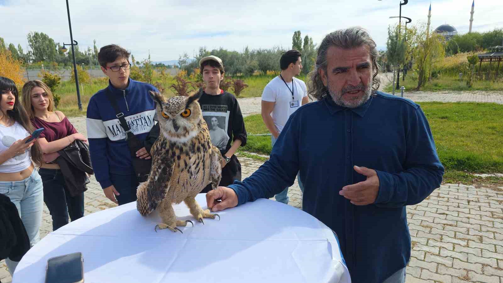 Van YYÜ’de ’Dünya Göçmen Kuşlar Günü’nde anlamlı etkinlik: Tedavisi tamamlanan şahin doğaya bırakıldı