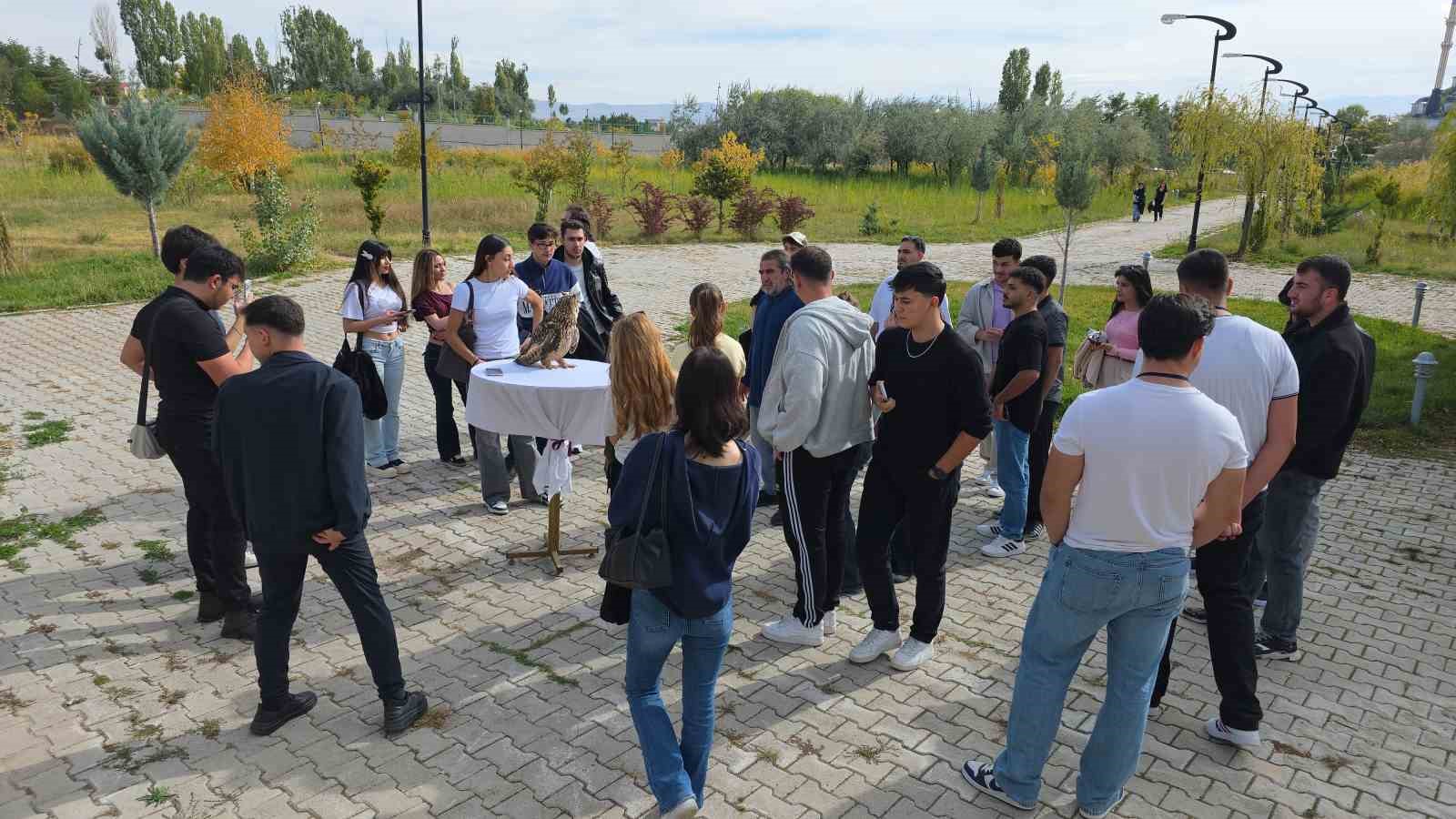 Van YYÜ’de ’Dünya Göçmen Kuşlar Günü’nde anlamlı etkinlik: Tedavisi tamamlanan şahin doğaya bırakıldı