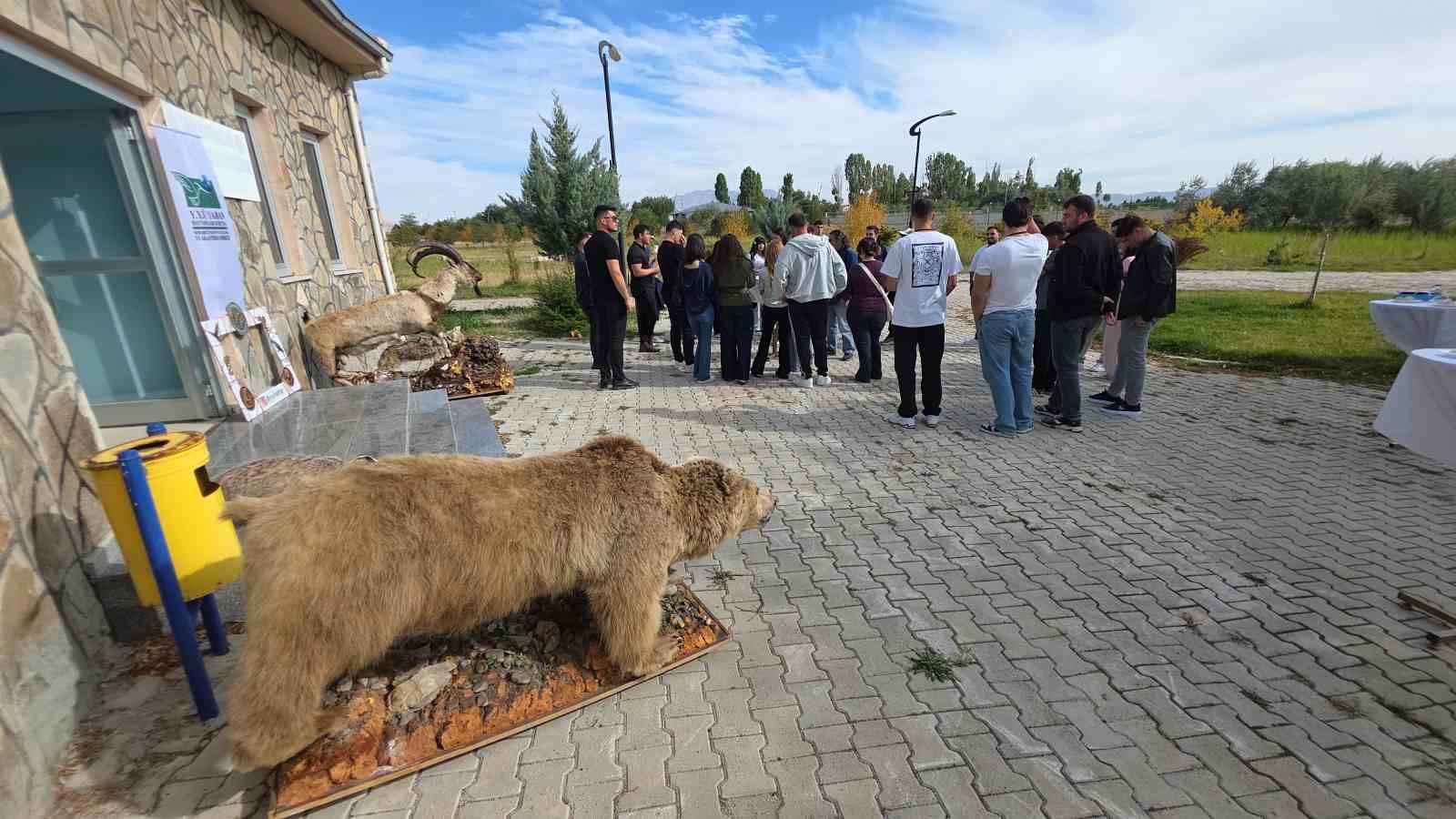 Van YYÜ’de ’Dünya Göçmen Kuşlar Günü’nde anlamlı etkinlik: Tedavisi tamamlanan şahin doğaya bırakıldı