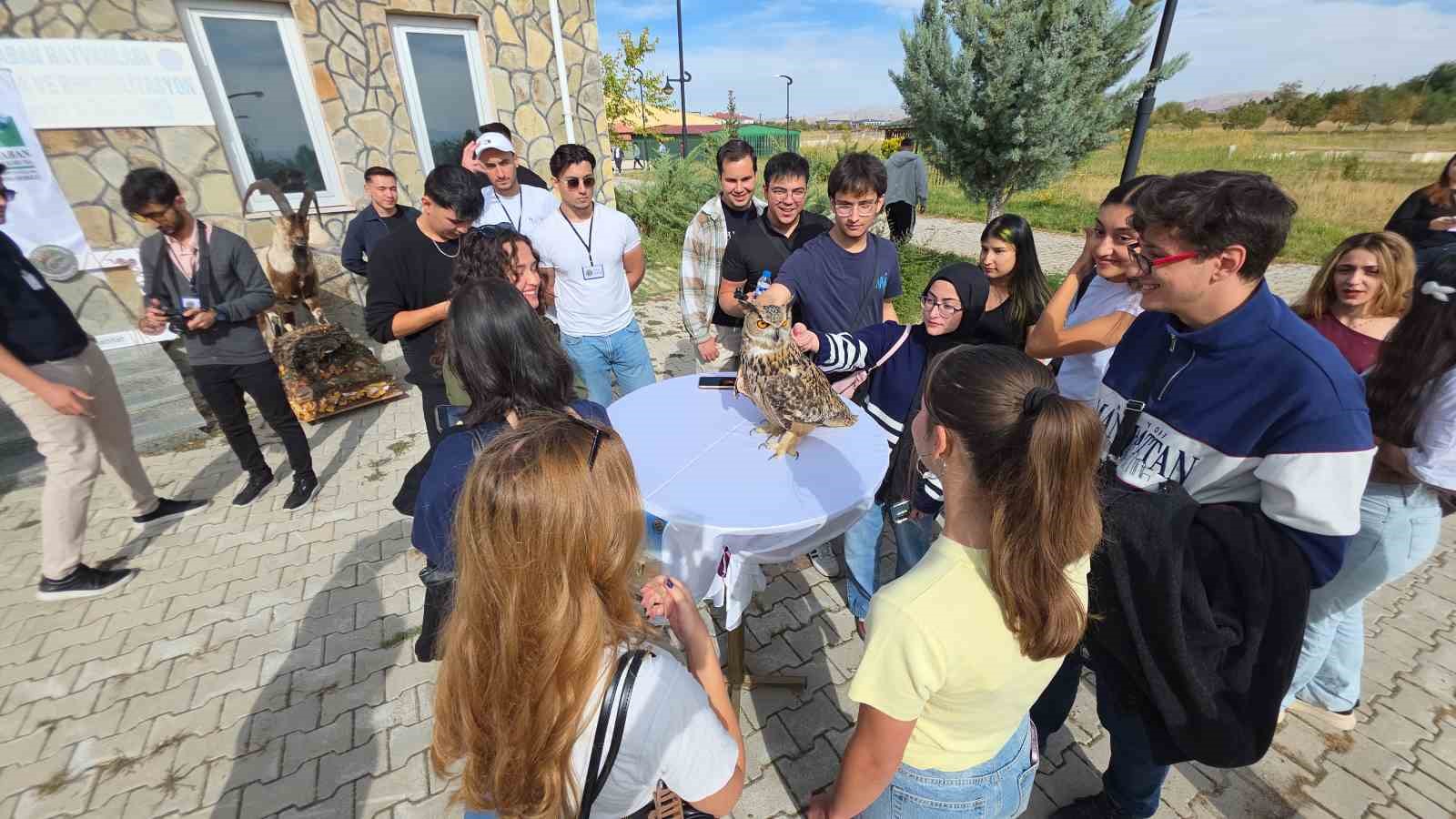Van YYÜ’de ’Dünya Göçmen Kuşlar Günü’nde anlamlı etkinlik: Tedavisi tamamlanan şahin doğaya bırakıldı