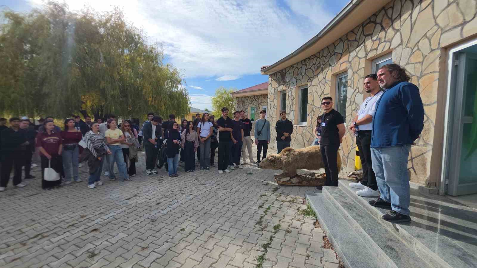 Van YYÜ’de ’Dünya Göçmen Kuşlar Günü’nde anlamlı etkinlik: Tedavisi tamamlanan şahin doğaya bırakıldı