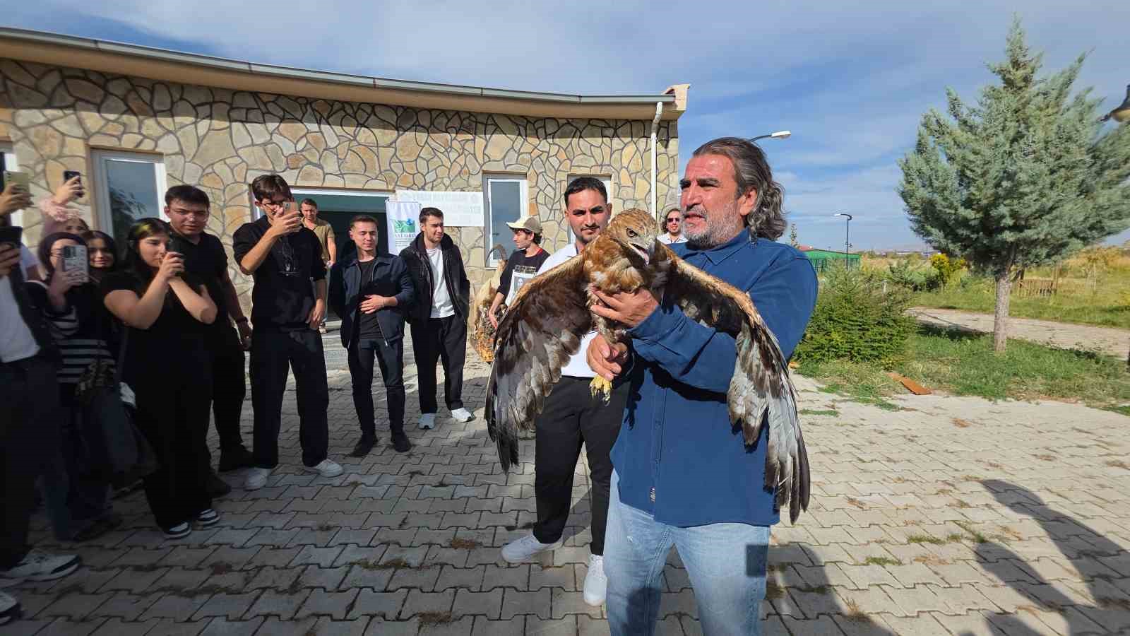 Van YYÜ’de ’Dünya Göçmen Kuşlar Günü’nde anlamlı etkinlik: Tedavisi tamamlanan şahin doğaya bırakıldı