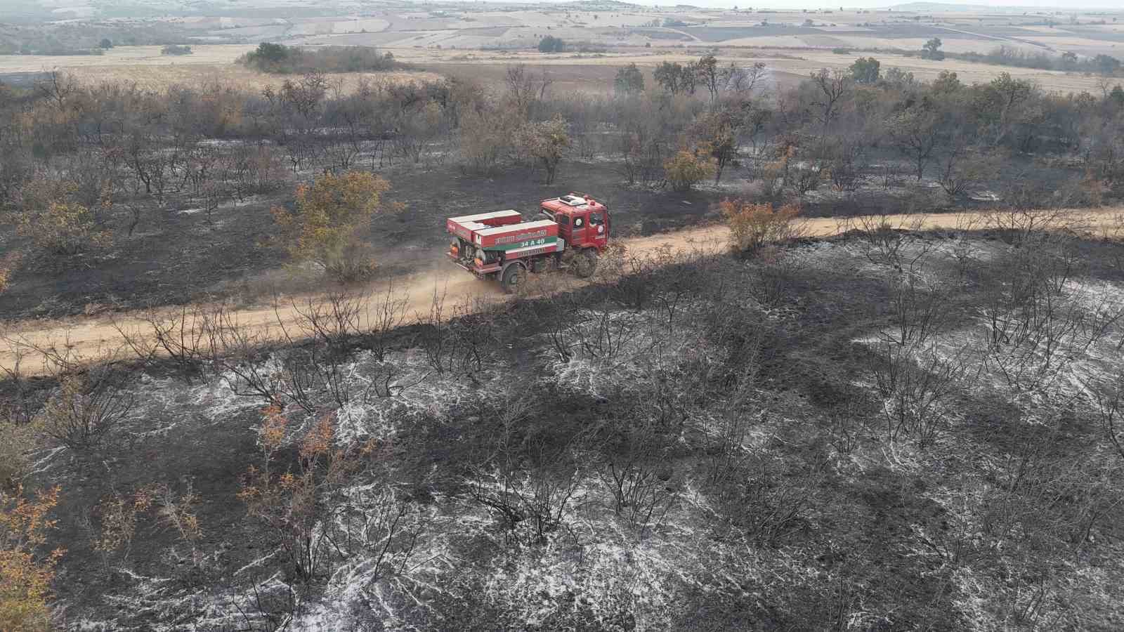 Edirne’de anız yangını: Kaplumbağalar ve yabani hayvanlar da etkilendi