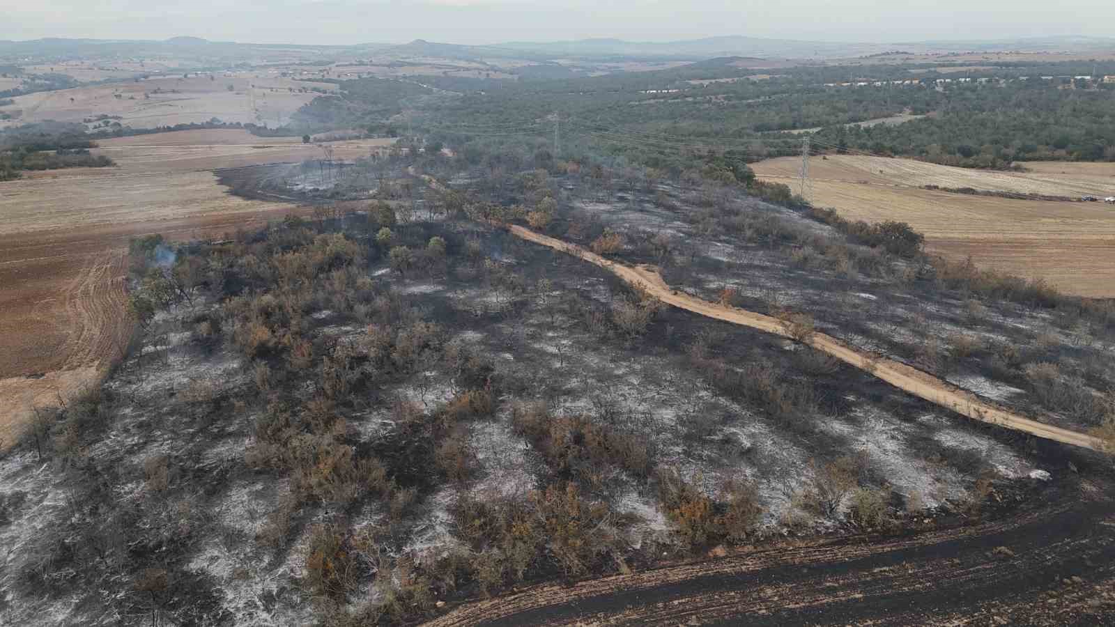 Edirne’de anız yangını: Kaplumbağalar ve yabani hayvanlar da etkilendi