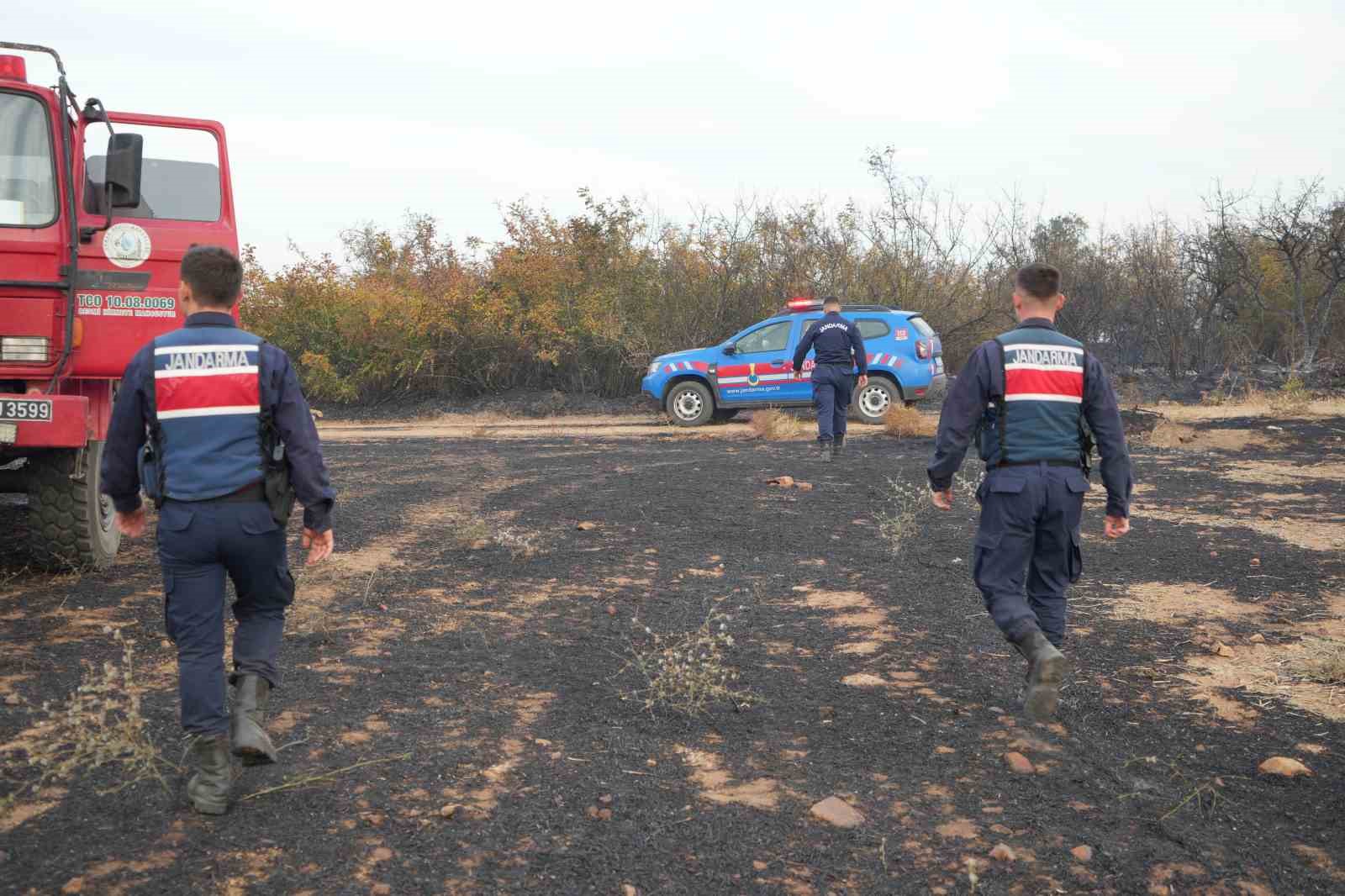 Edirne’de anız yangını: Kaplumbağalar ve yabani hayvanlar da etkilendi