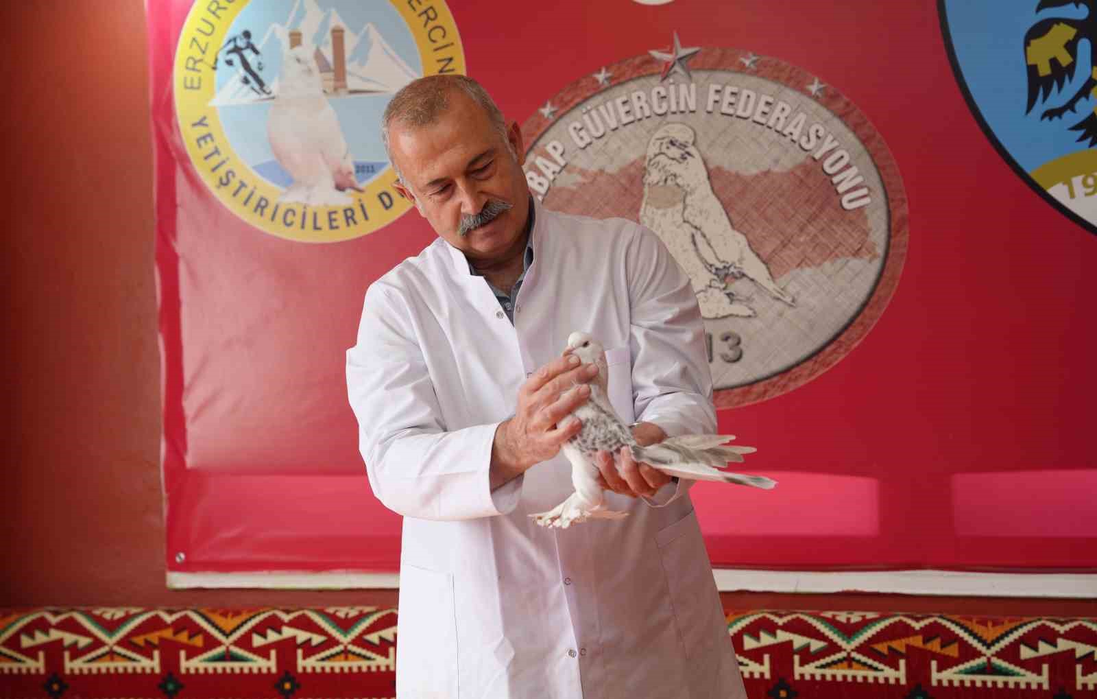 Emekli astsubay, 40 güvercini için ev kiraladı: Aylık 10 bin TL harcıyor